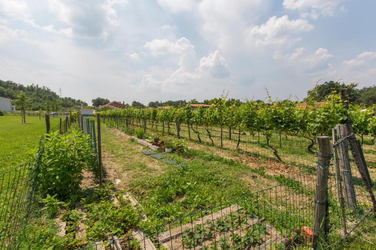 Kamp Romantik - Glamping Labin  Exterior photo